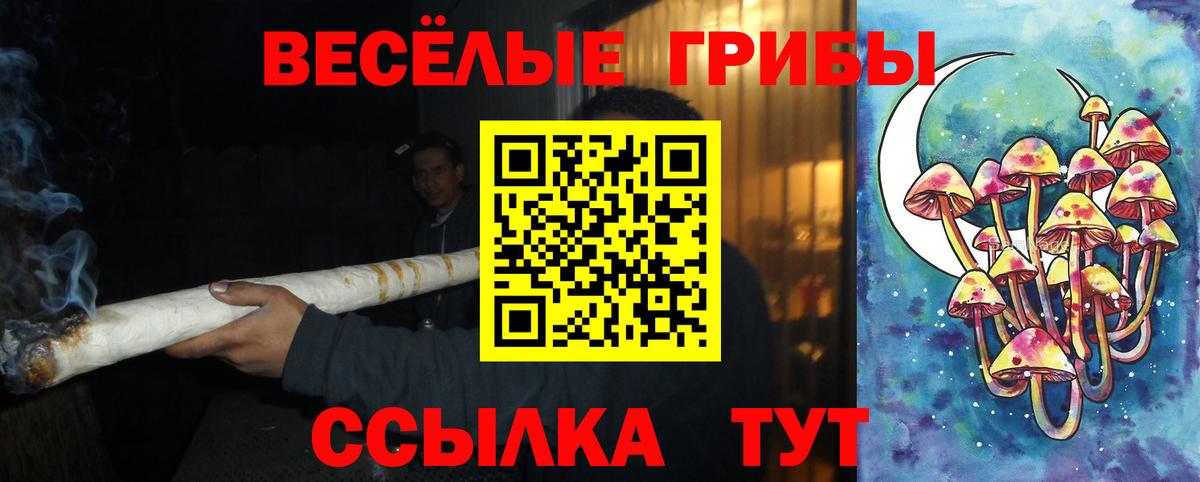 Галлюциногенные грибы мухоморы  Галлюциногенные грибы Psilocybine cubensis  Вход с VPN  Долгопрудный 
